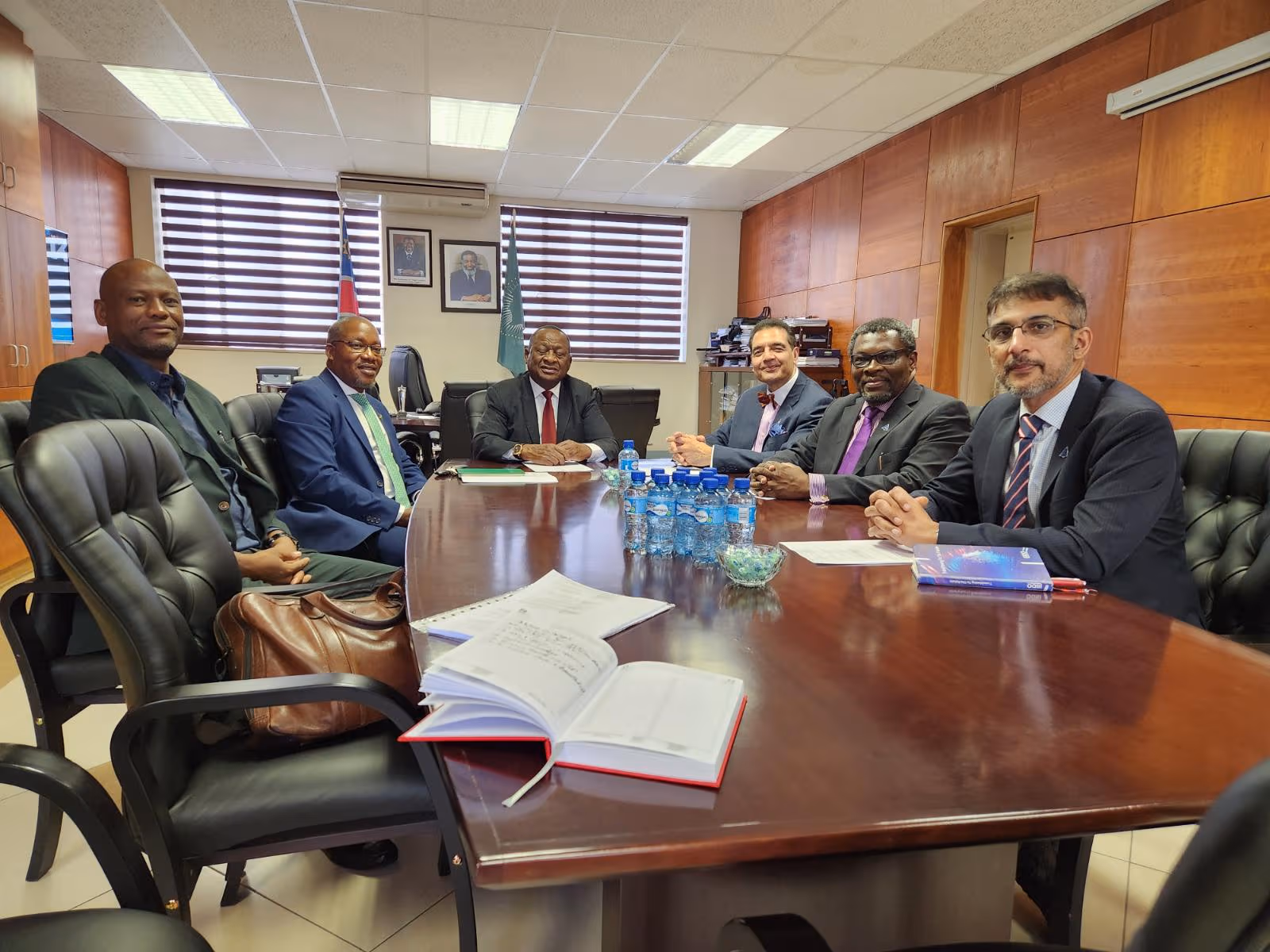 Professional advisory firms in coordinated cross-border work